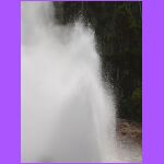 Steamboat Geyser - Errupting 6.jpg